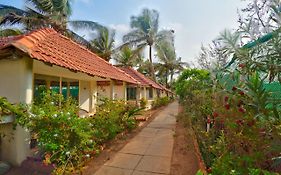 Morjim Holiday Beach Resort  3* India